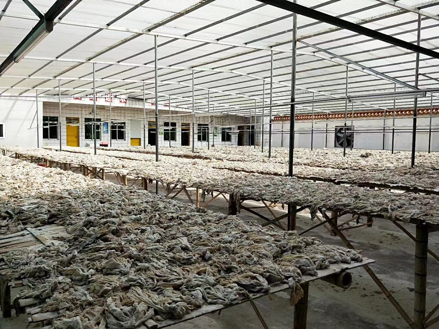 河源市东源县青草塘绿色果蔬有限公司ISO 22000&HACCP 审核现场(图3)