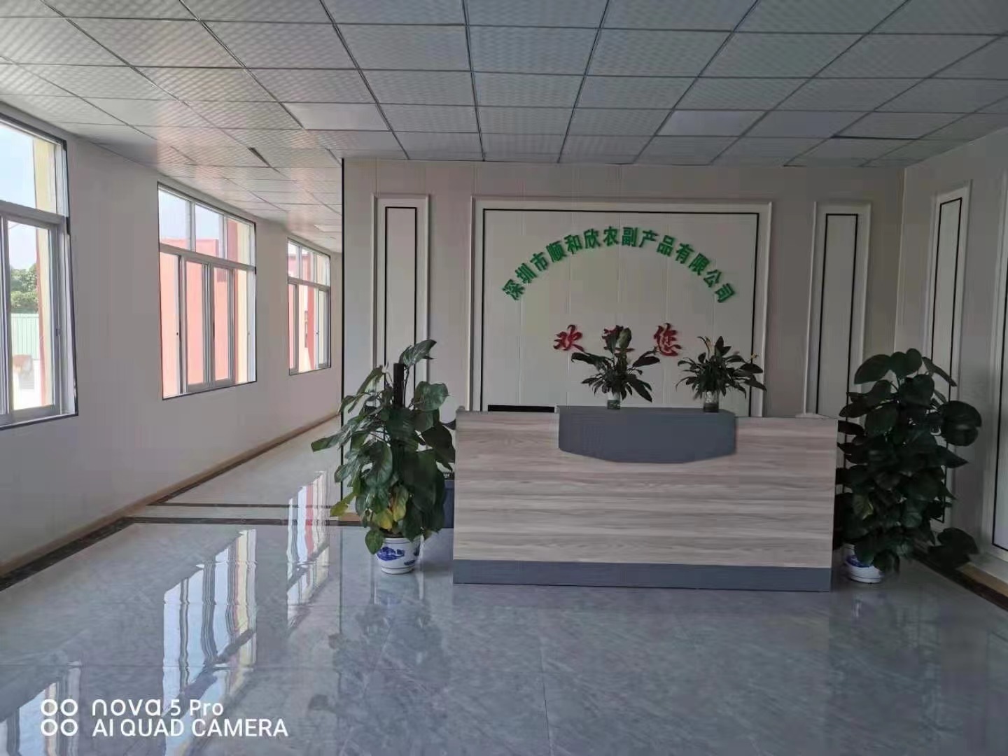 深圳顺和欣食品配送ISO22000&HACCP审核现场(图1)