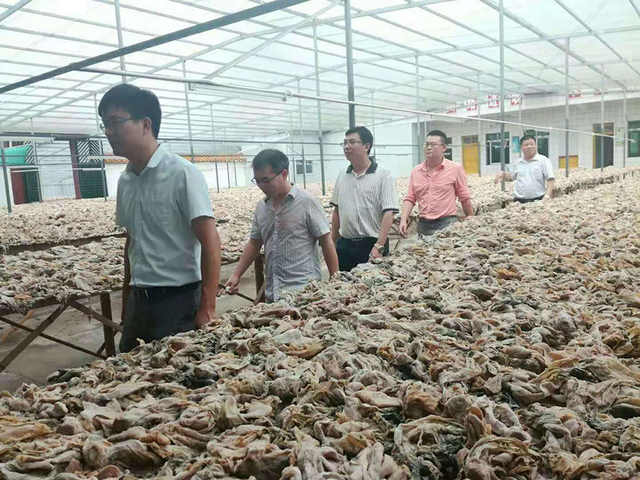 河源XXX食品HACCP(图4)